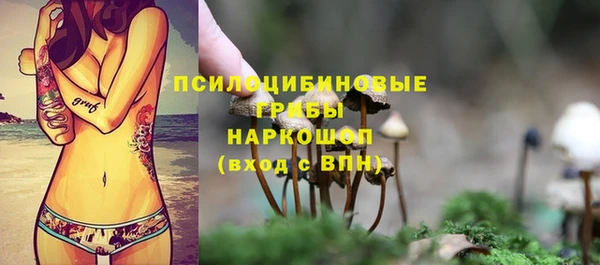ПСИЛОЦИБИНОВЫЕ ГРИБЫ Балахна