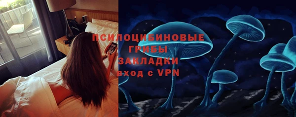 ПСИЛОЦИБИНОВЫЕ ГРИБЫ Балахна