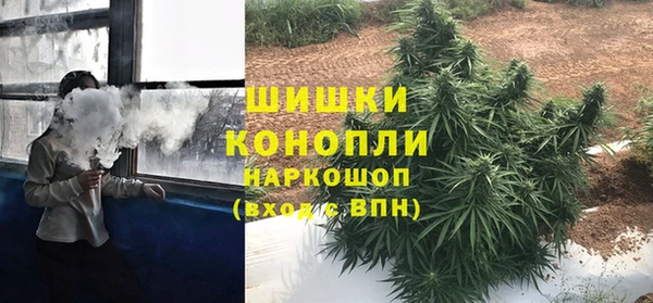 ПСИЛОЦИБИНОВЫЕ ГРИБЫ Балахна