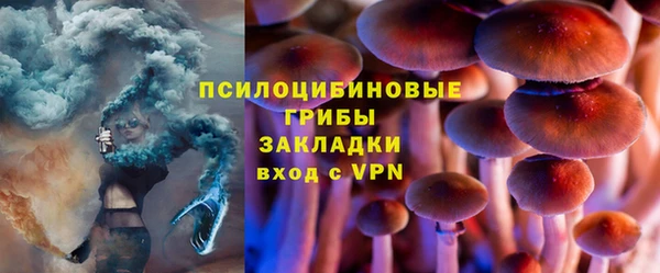 ПСИЛОЦИБИНОВЫЕ ГРИБЫ Балахна